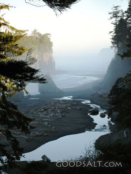 Coastal Landscape