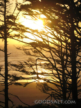 Coastal Sunset