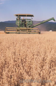 Combine Harvester