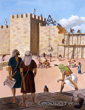 Cooperation Builds a Wall