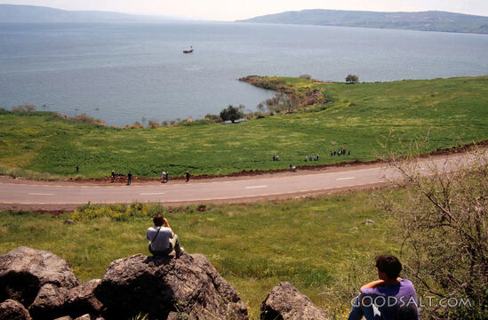 Cove of the Sower From Top