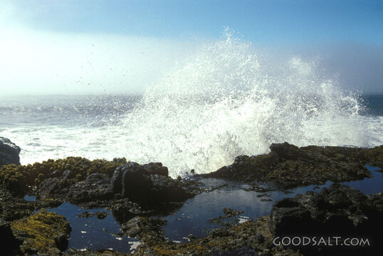 Crashing Wave