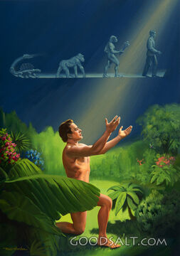 Creation, not Evolution