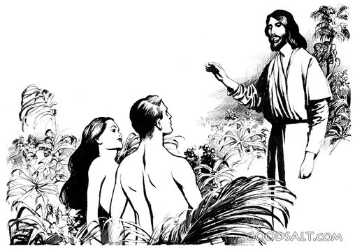 Creation of Adam and Eve