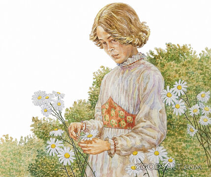 Daisies