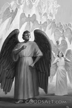 Dark Angel