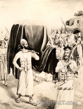 David and the Ark
