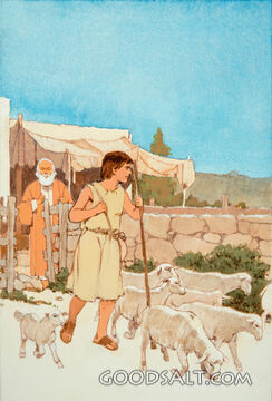 David and the Sheep