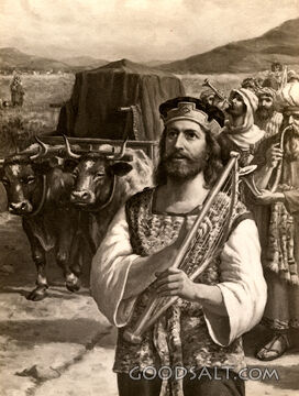David Caring for the Ark