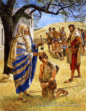 David Is Anointed