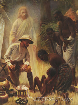 David Livingstone, Africa