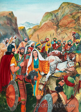 David Receives Food From Abigail