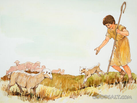 David the Shepherd
