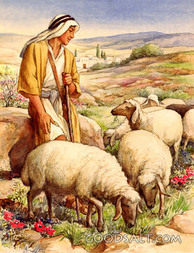 David the Shepherd Boy
