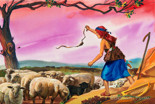 David the Shepherd - Practicing With the Sling