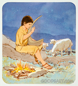 David&#039;s Harp
