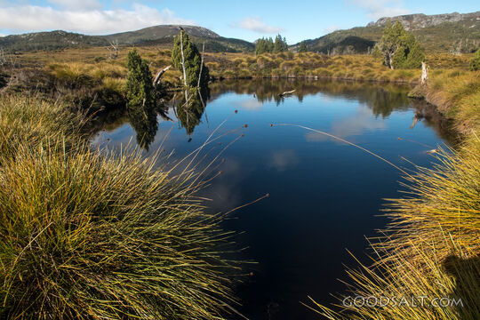 Deep dark tarn waterhole surrounded by grass.