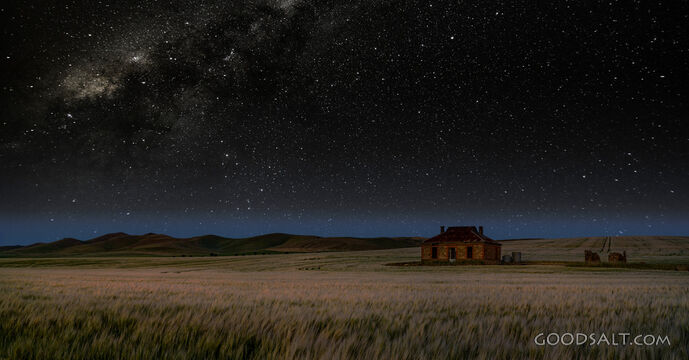 derelict farm house surrounded by wheatfield