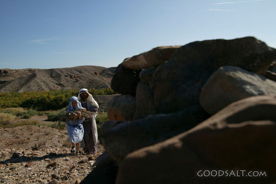 Widow of Zarephath Gathering Sticks