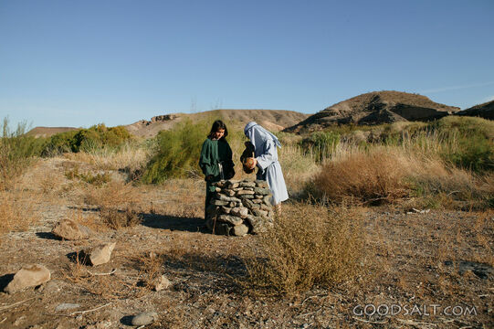 Water at the Desert Well