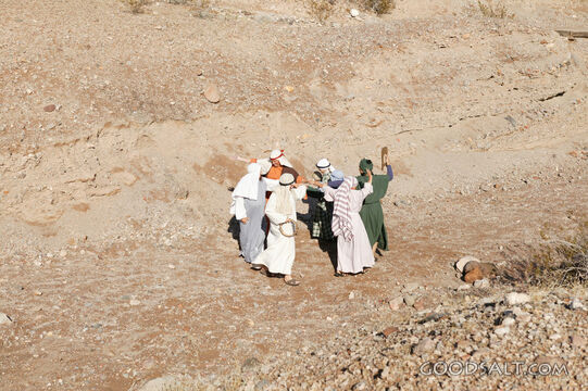 Israelites Journey Through the Wilderness