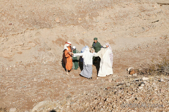Israelites Gather in the Wilderness