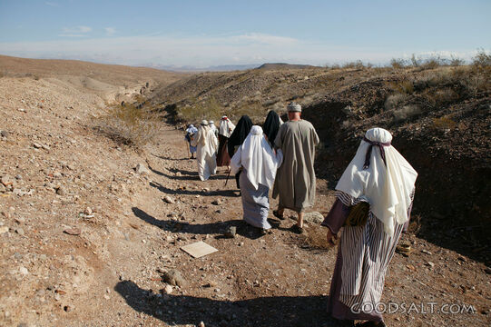 Israelites Journey Through the Wilderness