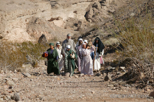 Sojourners in the Wilderness