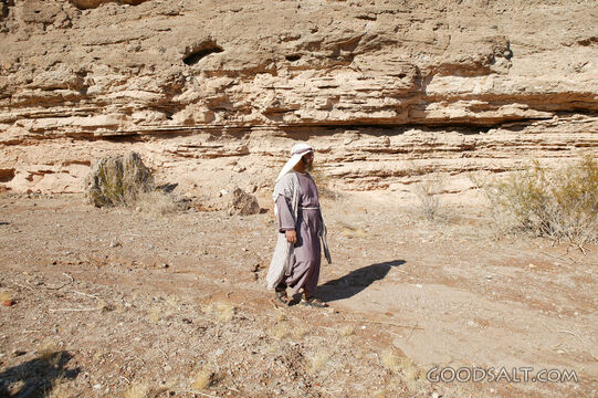 Traveler in the Wilderness Valley