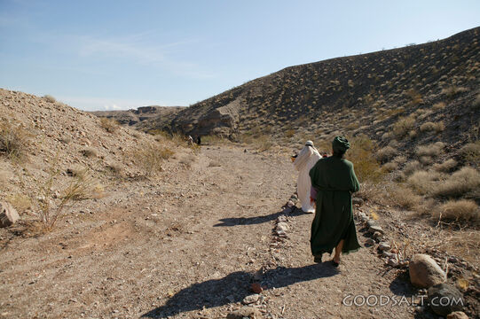 Israelites on the Wilderness Road
