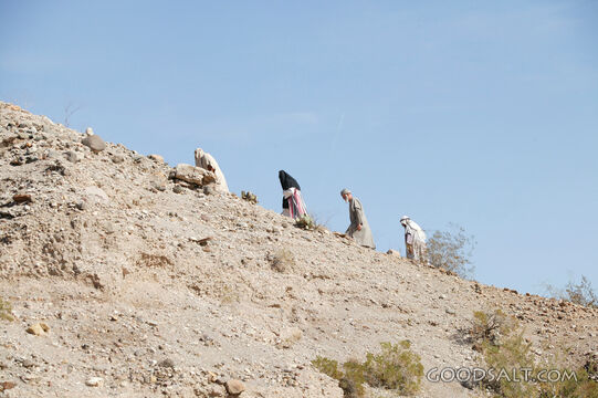 Sojourners in the Wilderness