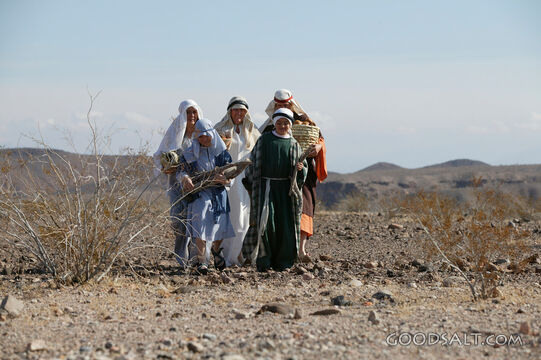 Israelites Journey Through the Wilderness