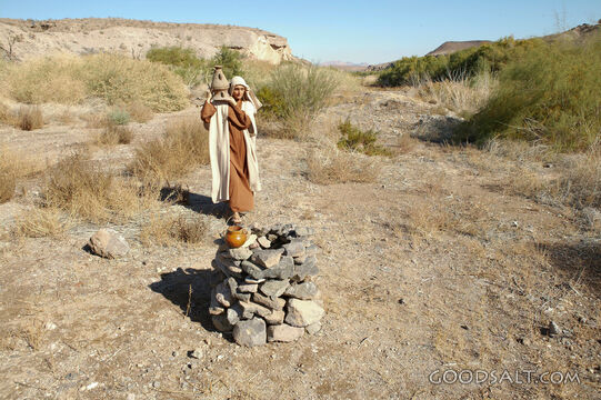 Israelite Woman at the Desert Well