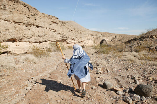 Shepherd in the Wilderness