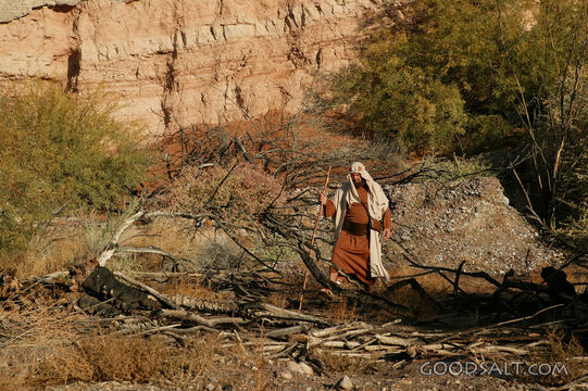 Israelite Wanderer in the Wilderness