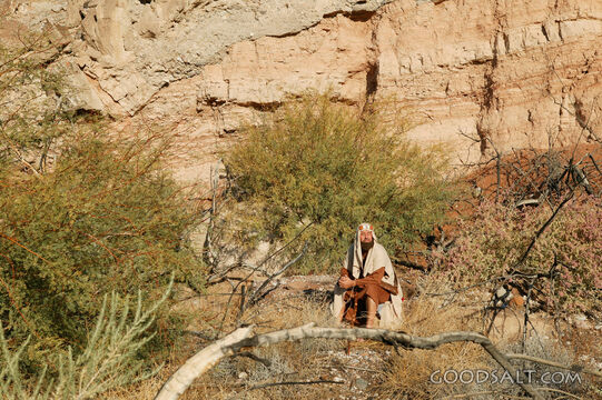 Israelite Resting in the Wilderness