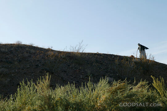 Israelite Traveler on the Wilderness Ridge