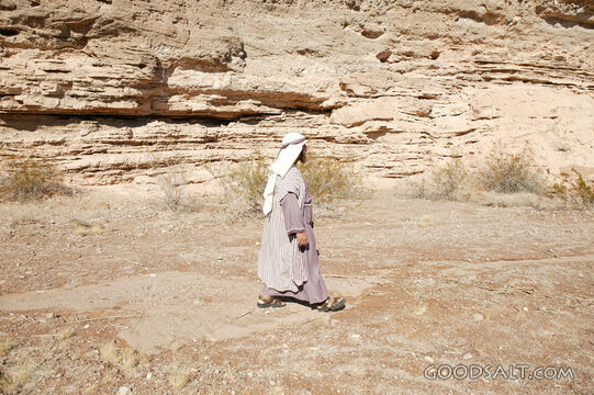 Israelite Walking Through the Wilderness