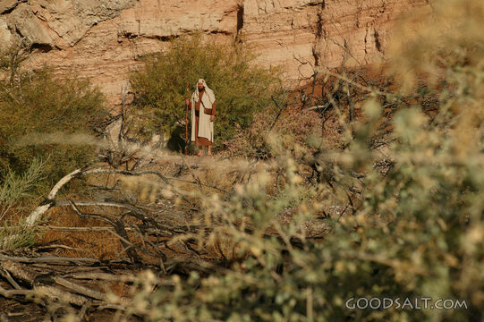 Israelite Wanderer in the Wilderness