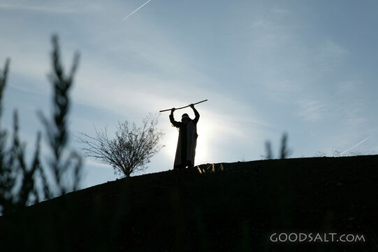 Moses Raises the Staff
