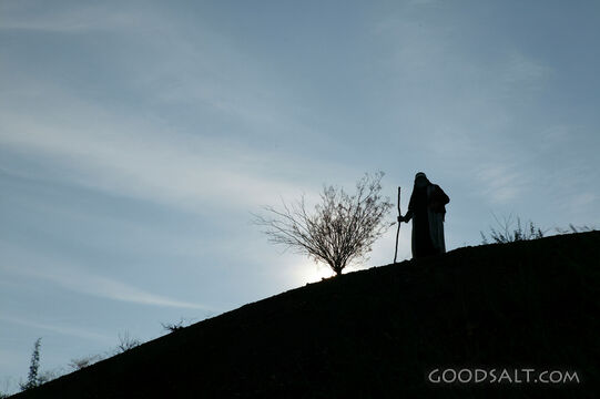 Abraham Walks by Faith