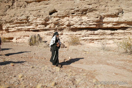 Pharisee in the Judean Wilderness