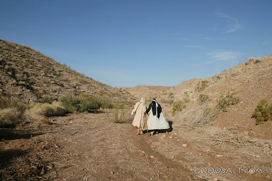 Israelite Travelers in the Wilderness