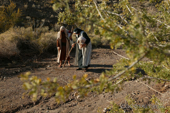 Shepherds on the Wilderness Path