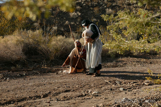 Shepherd With the Lost Lamb