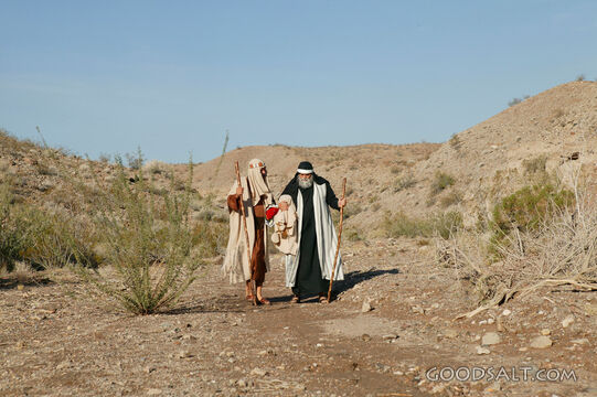 Sojourners Through the Wilderness