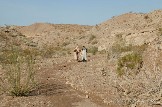 Abram Journeying Through the Wilderness