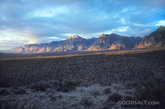 Desert Range