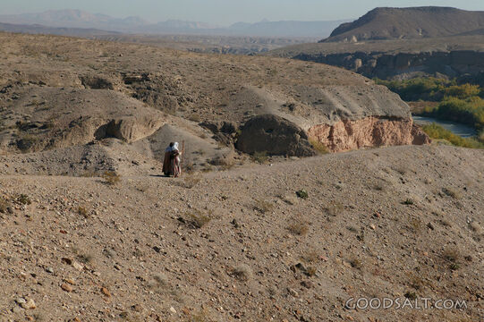 Israelite Traveler in the Wilderness