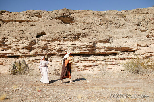 Sojourners in the Wilderness